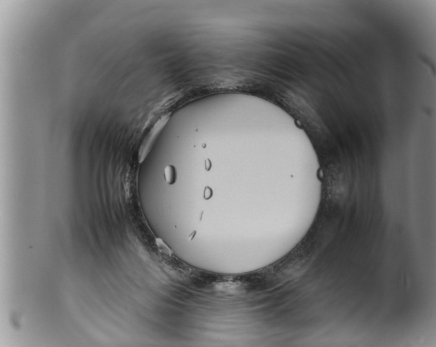 X0000100190216200806201405