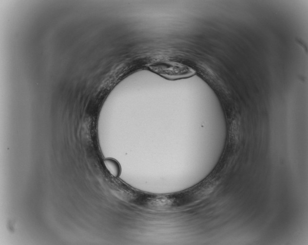 X0000100190217200806201405