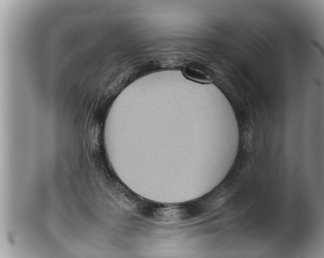 X0000100190219200806201405
