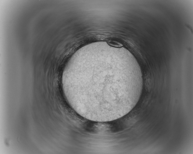 X0000100190221200806201405