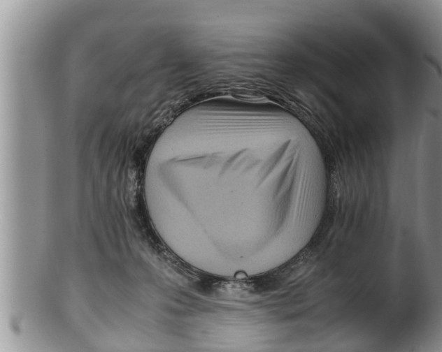 X0000100190223200806201405