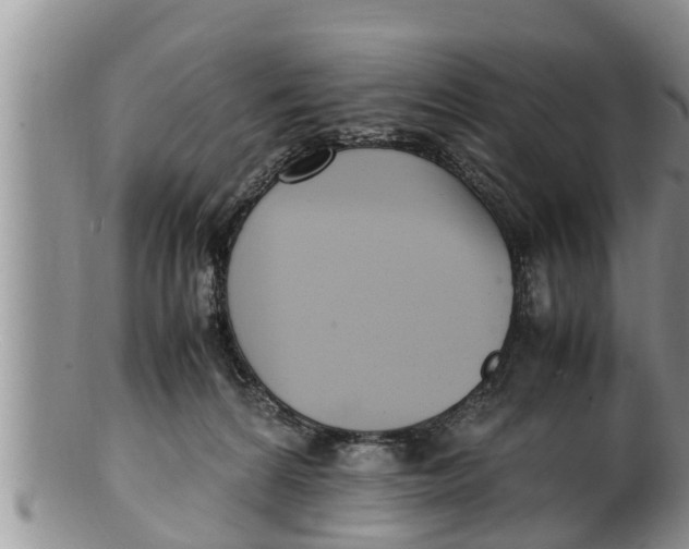 X0000100190224200806201405