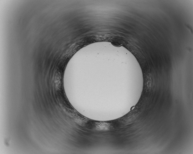 X0000100190226200806201405