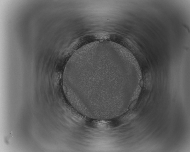 X0000100190229200806201405
