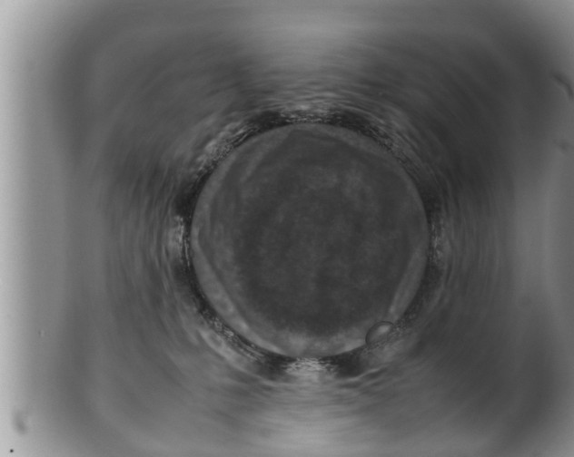 X0000100190231200806201405