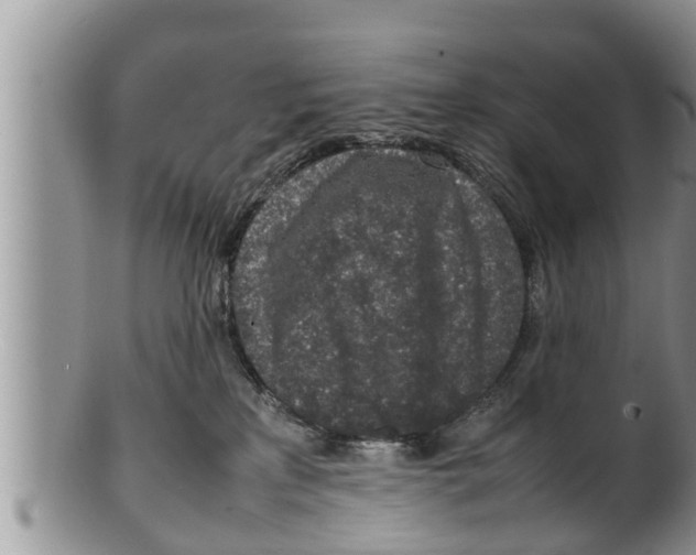 X0000100190233200806201405