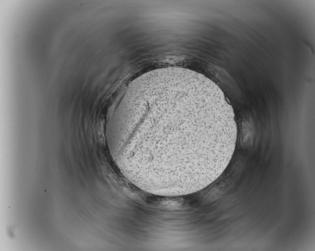 X0000100190236200806201405