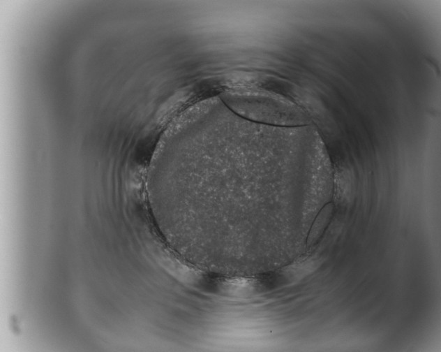 X0000100190237200806201405