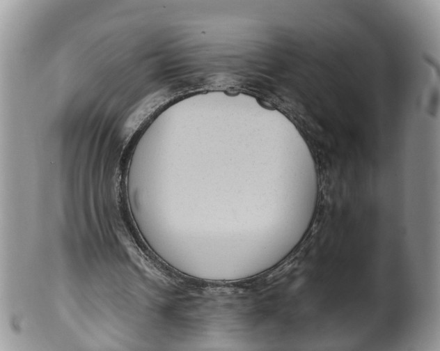 X0000100190242200806201404