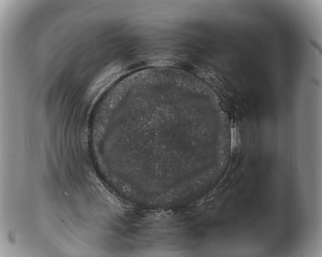 X0000100190243200806201404