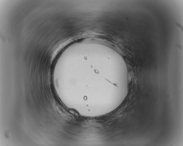 X0000100190244200806201404