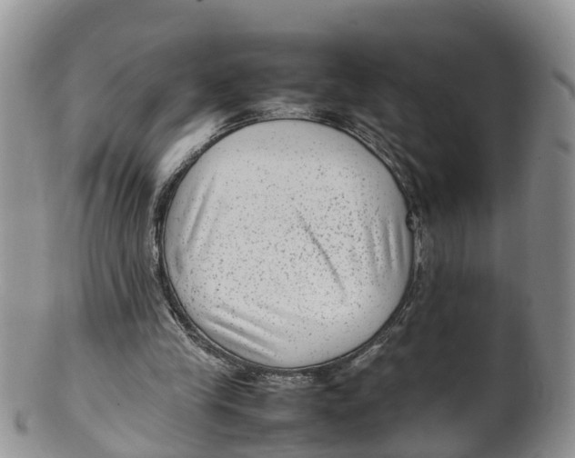 X0000100190245200806201404