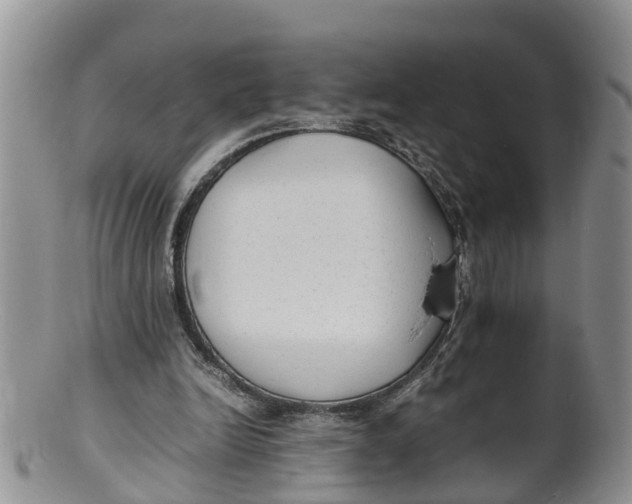 X0000100190246200806201404