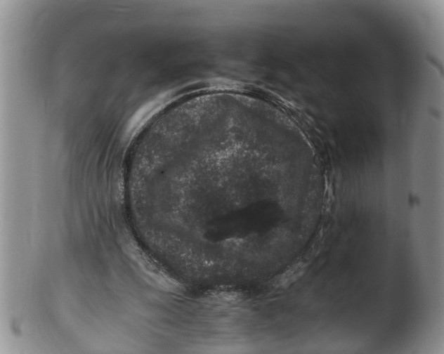 X0000100190247200806201404