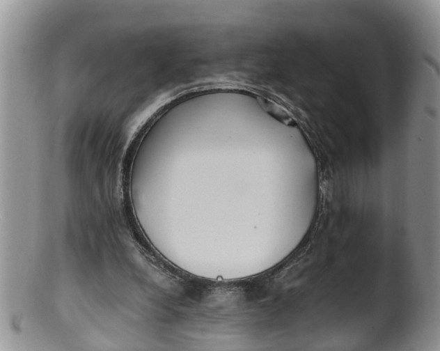 X0000100190248200806201404