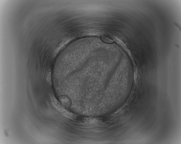 X0000100190249200806201404