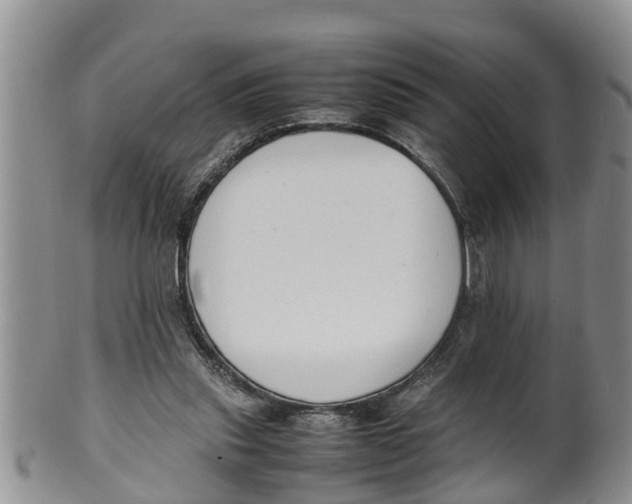 X0000100190253200806201404