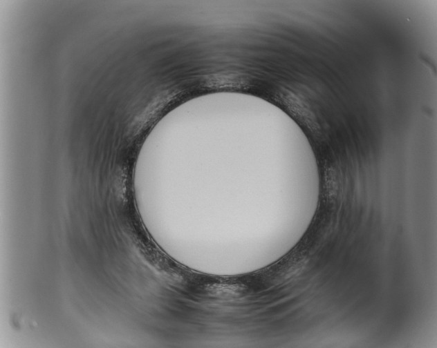 X0000100190255200806201404