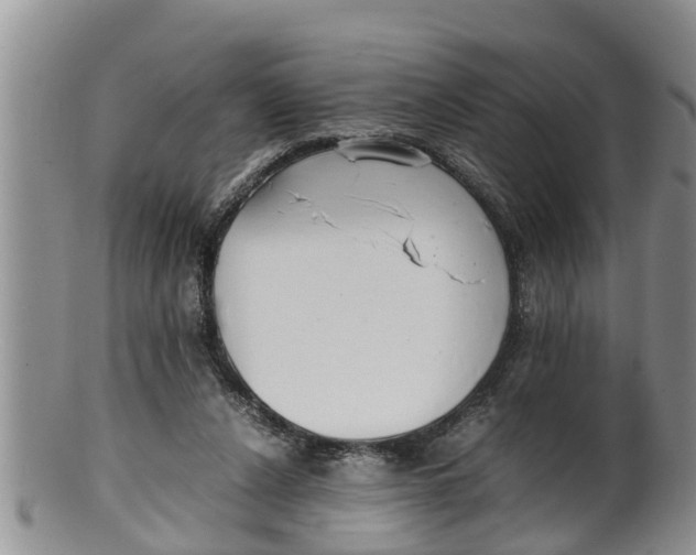 X0000100190256200806201404