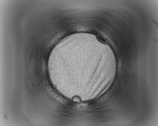 X0000100190257200806201404