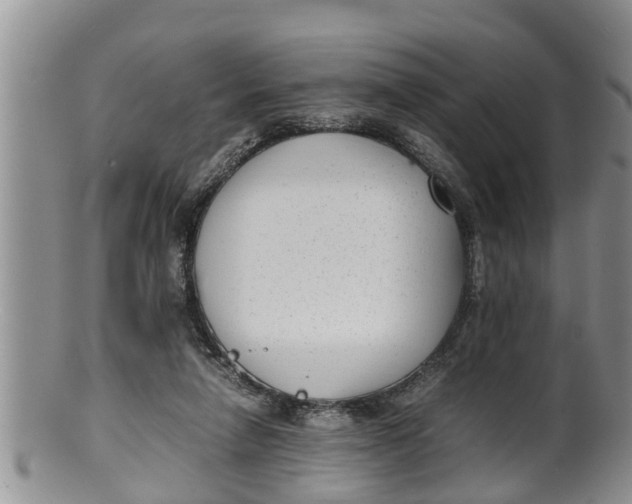 X0000100190258200806201404