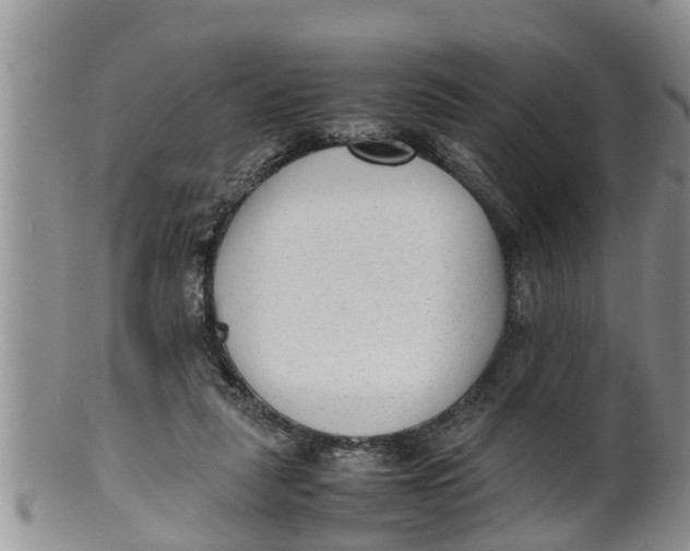 X0000100190259200806201404
