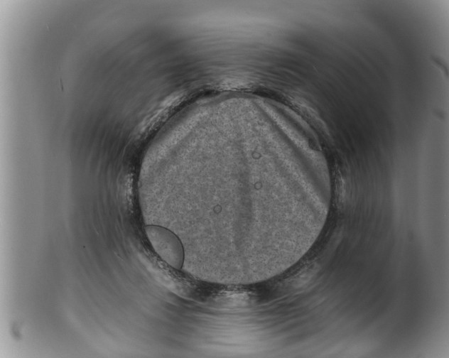 X0000100190260200806201404