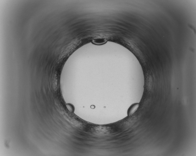 X0000100190261200806201404