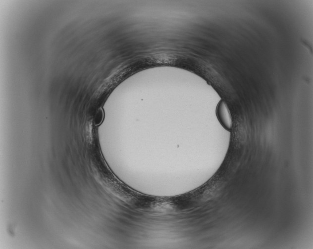 X0000100190262200806201404