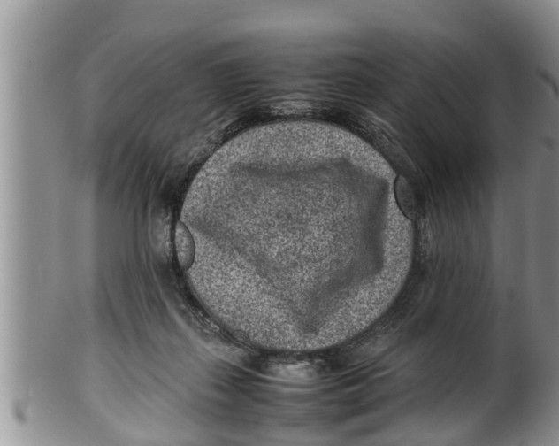 X0000100190267200806201404