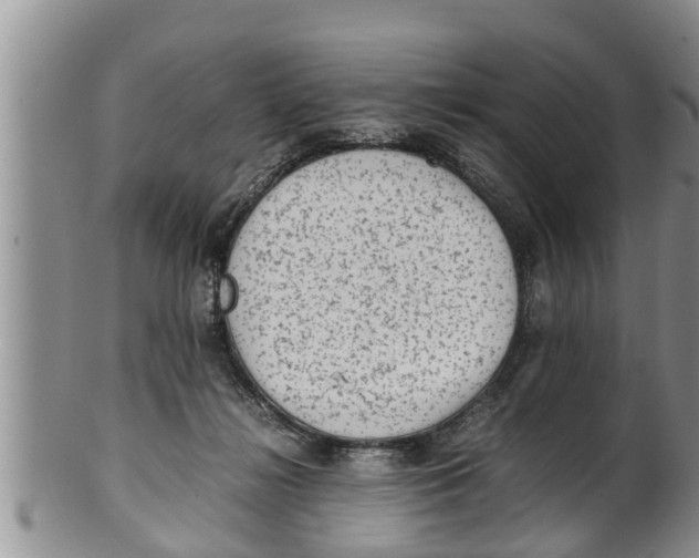 X0000100190268200806201404