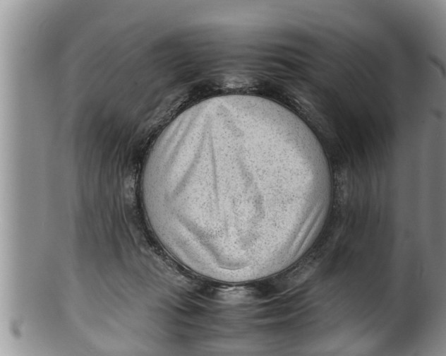 X0000100190269200806201404