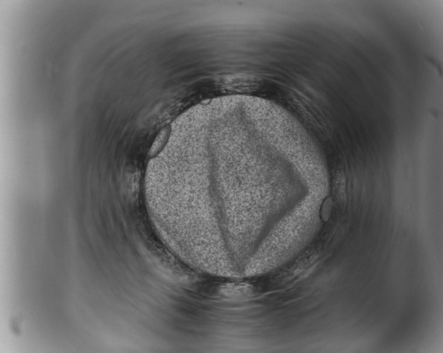 X0000100190271200806201404