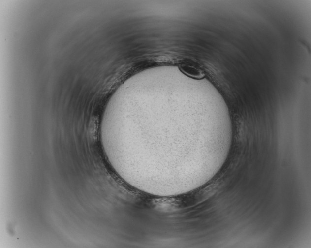 X0000100190273200806201404