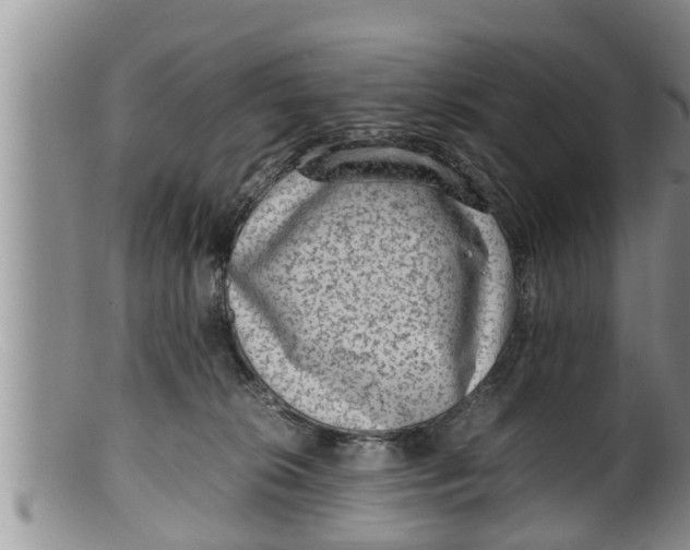 X0000100190276200806201404