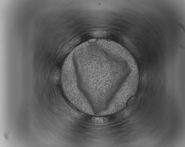 X0000100190277200806201404