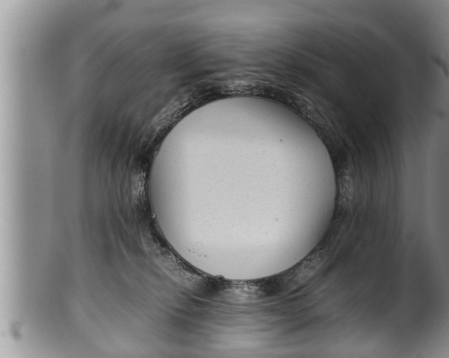 X0000100190278200806201404