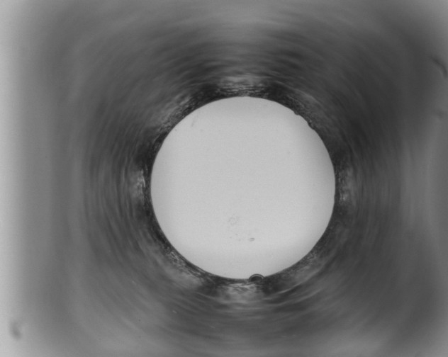 X0000100190279200806201404