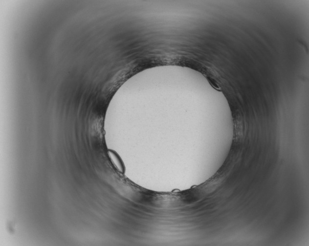 X0000100190286200806201405