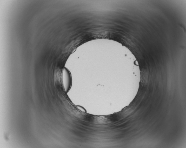 X0000100190287200806201405