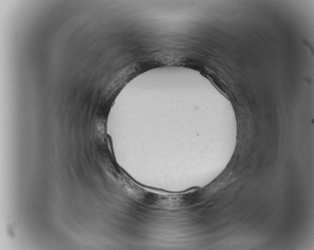X0000100190288200806201405