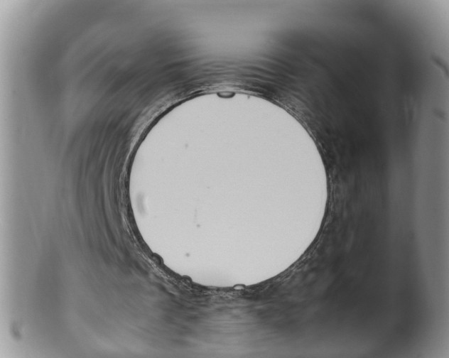 X0000100190289200806201404