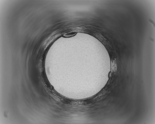 X0000100190291200806201404
