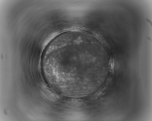 X0000100190292200806201404
