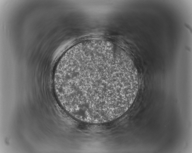 X0000100190293200806201404