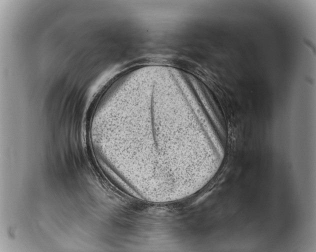 X0000100190294200806201404