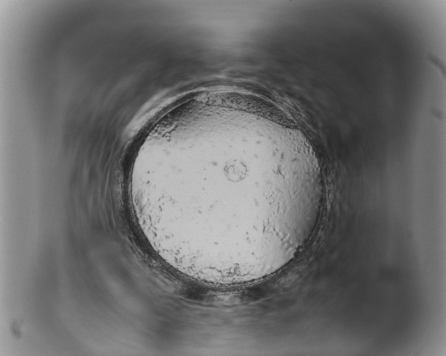 X0000100190295200806201404
