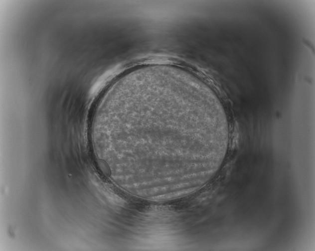 X0000100190296200806201404