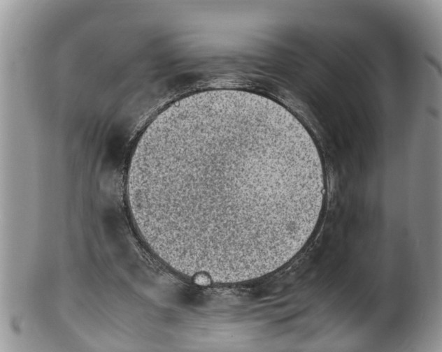 X0000100190297200806201404