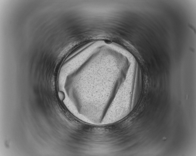 X0000100190298200806201404